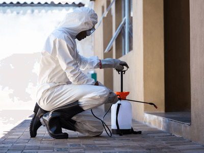 About Expert Rodent Control (Mice  Rats) - rodent control services experts in Towaco